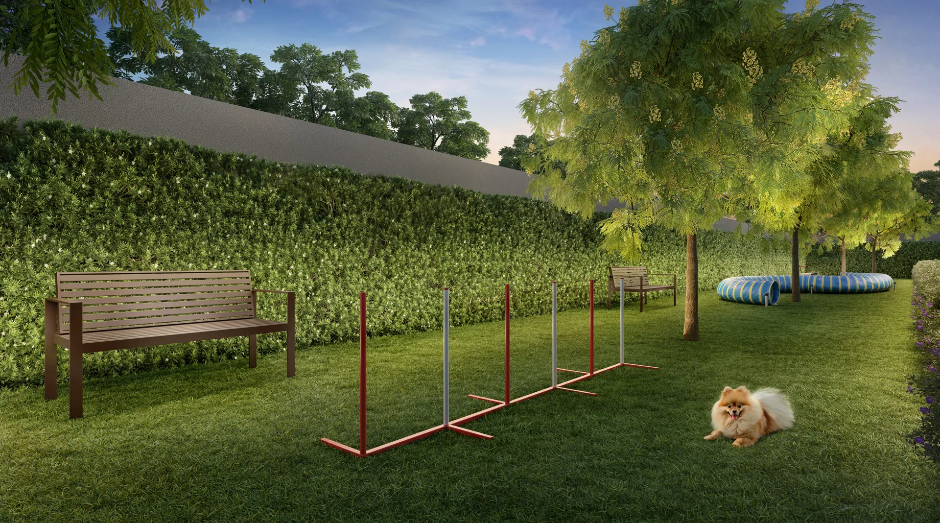Perspectiva ilustrada do pet place — Palace